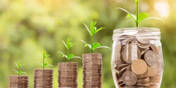 business liquidity management